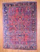 V563 Sarouk 8.10 x 12