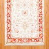 Afghan Hand-knotted Fine Vegetable Dye (2'8 x 14'4) - Image 3