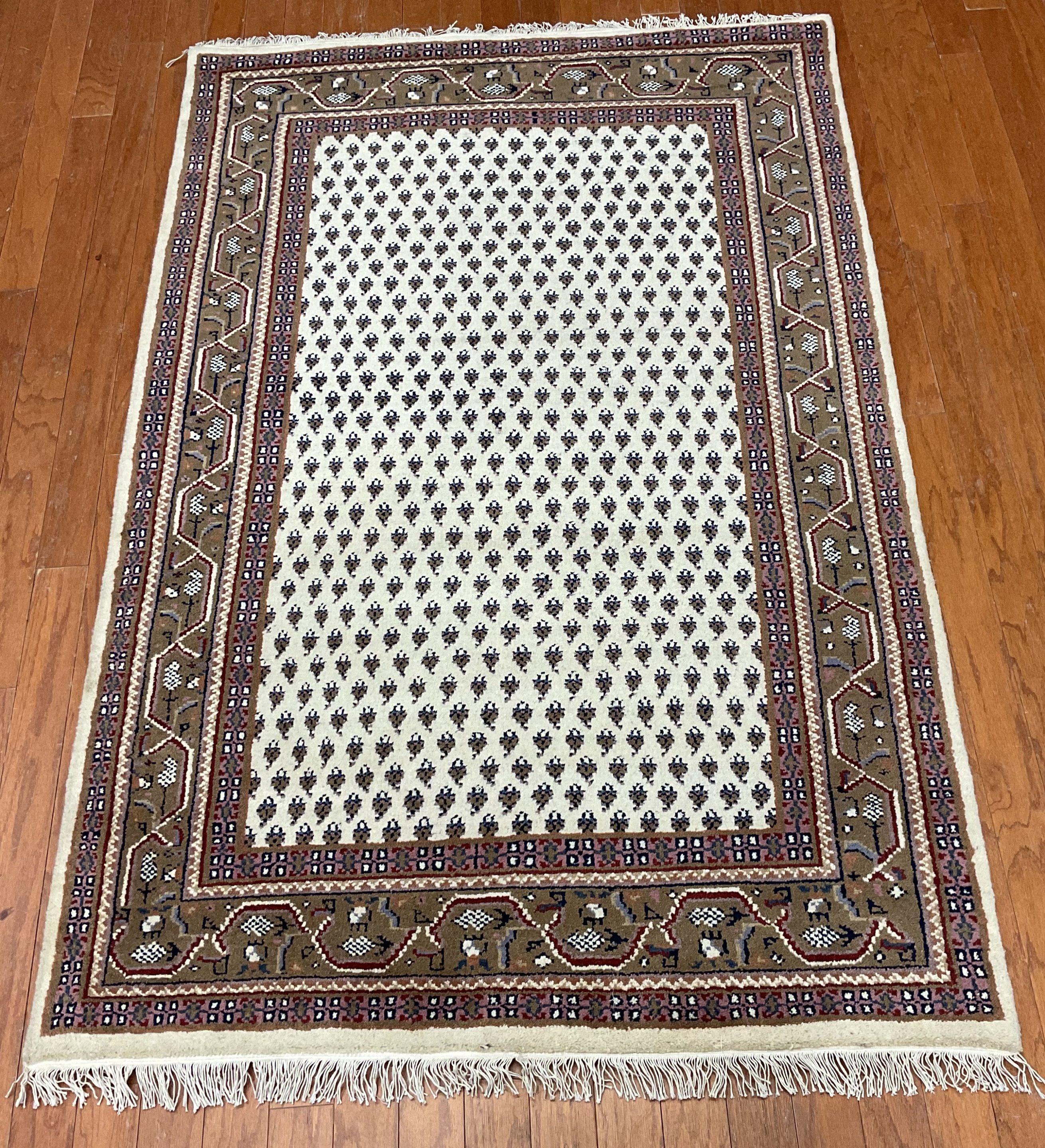 Indo Hand-knotted Mir Wool Rug (4' x 6')